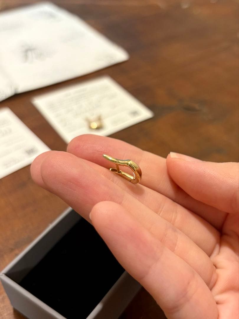 サ*マ様 Hirotaka (片耳用) CYGNUS ピアス S サイズ