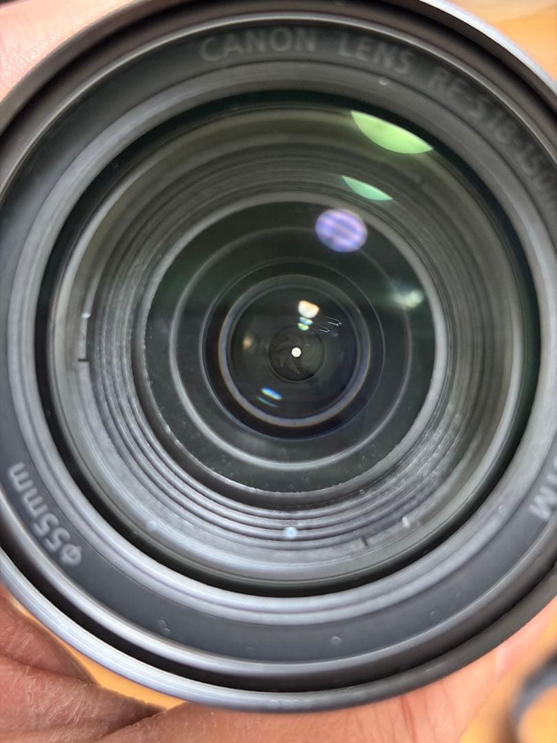 レンズ(ズーム) Canon RF-S 18-150mm F3.5-6.3 IS STM