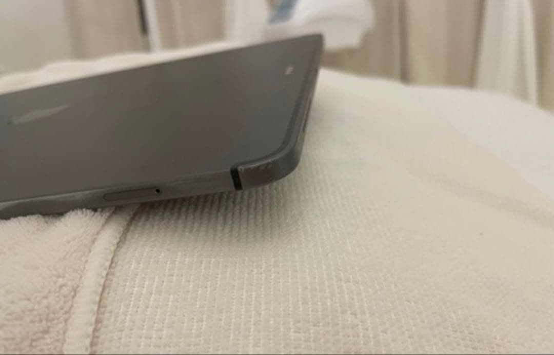 iPad本体 iPad pro 12.9