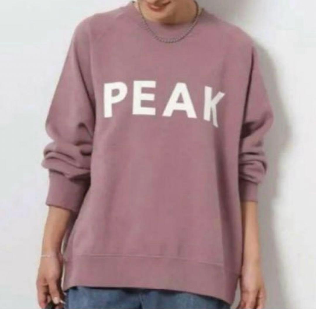 最終値下げ　新品　ジャーナルスタンダードレリューム別注　スノーピーク　スウェット