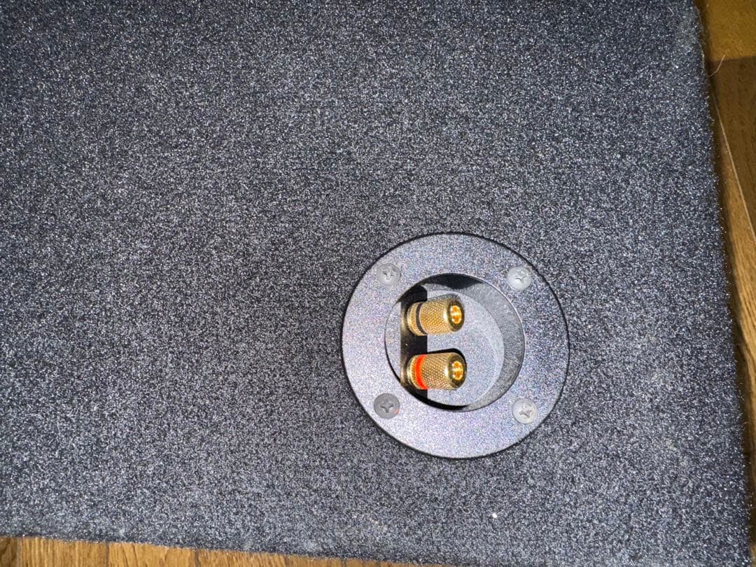 Rockford Fosgate P2D2-12 ウーファー 12インチ