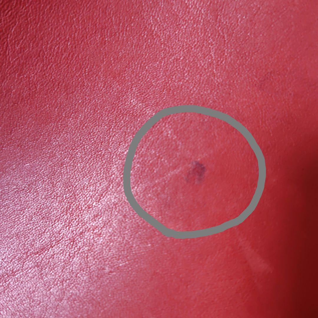 COACH コーチ ショルダーバッグ バケツ型 赤