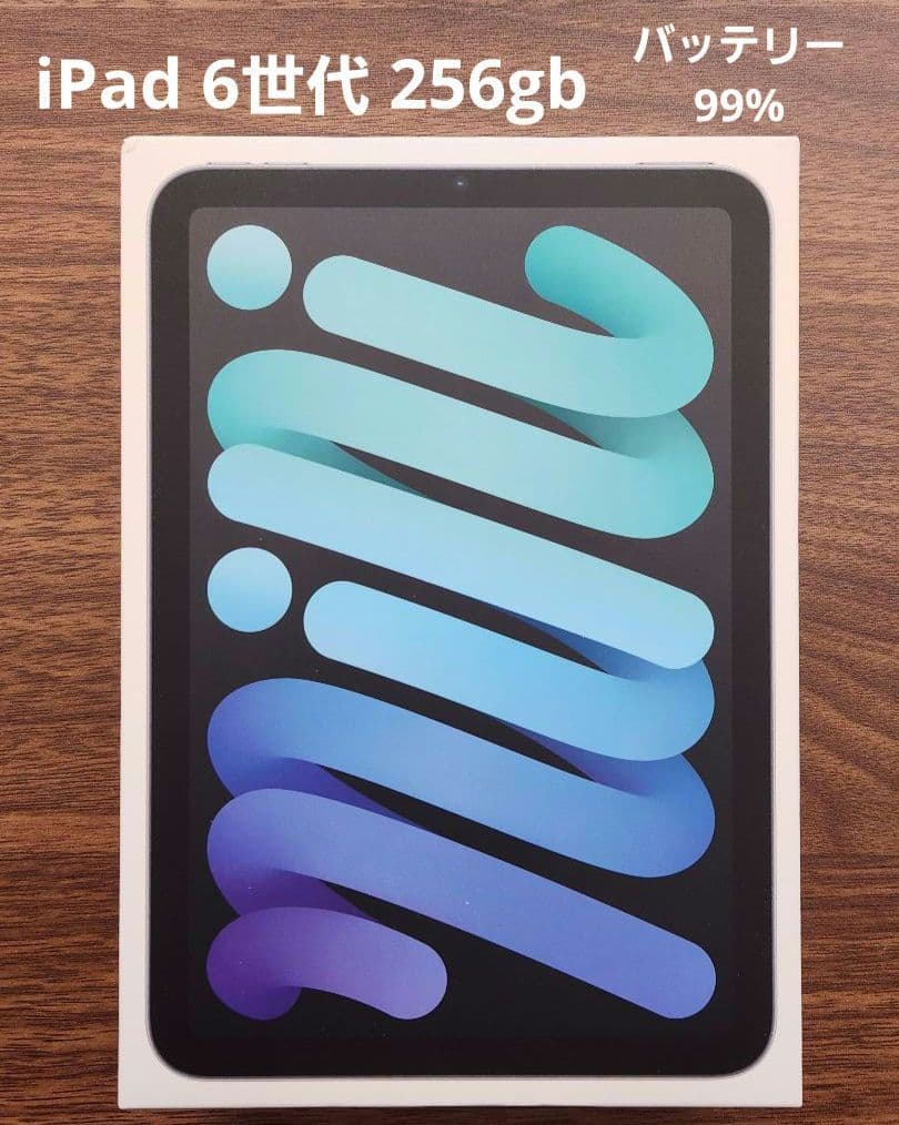 [美品] iPad mini 6世代 wifi 256gb スペースグレイ