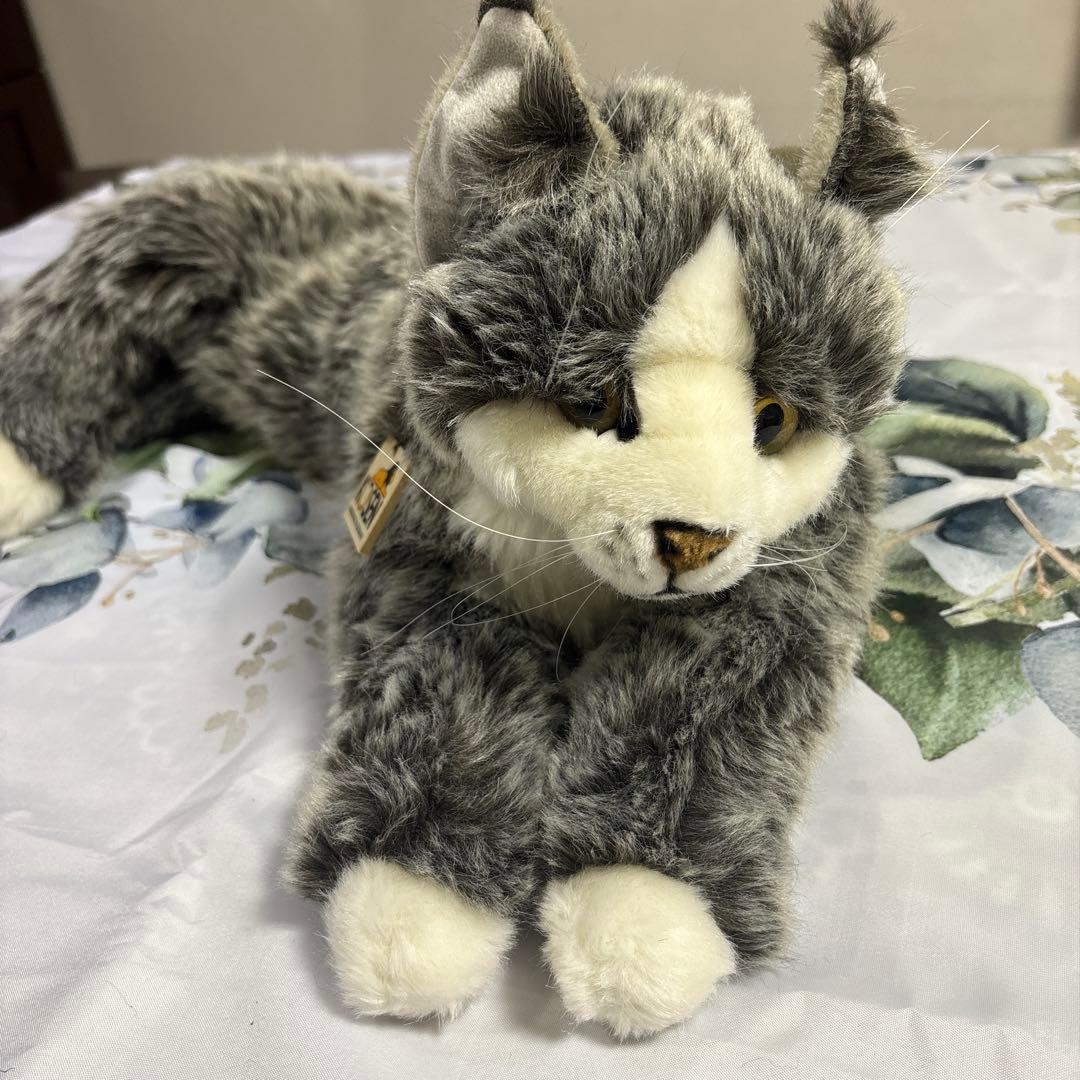 kosen (ケーセン)メインクーン　ねそべり猫