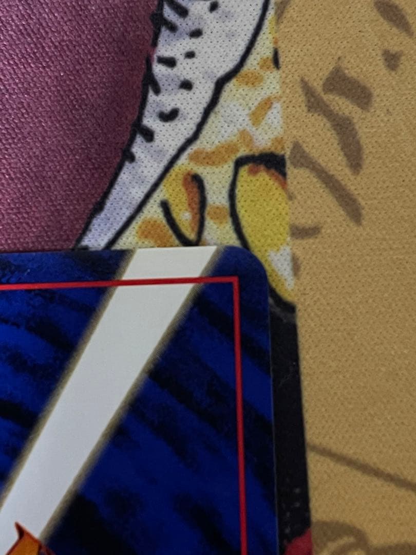 【美品】カツラのリザードン