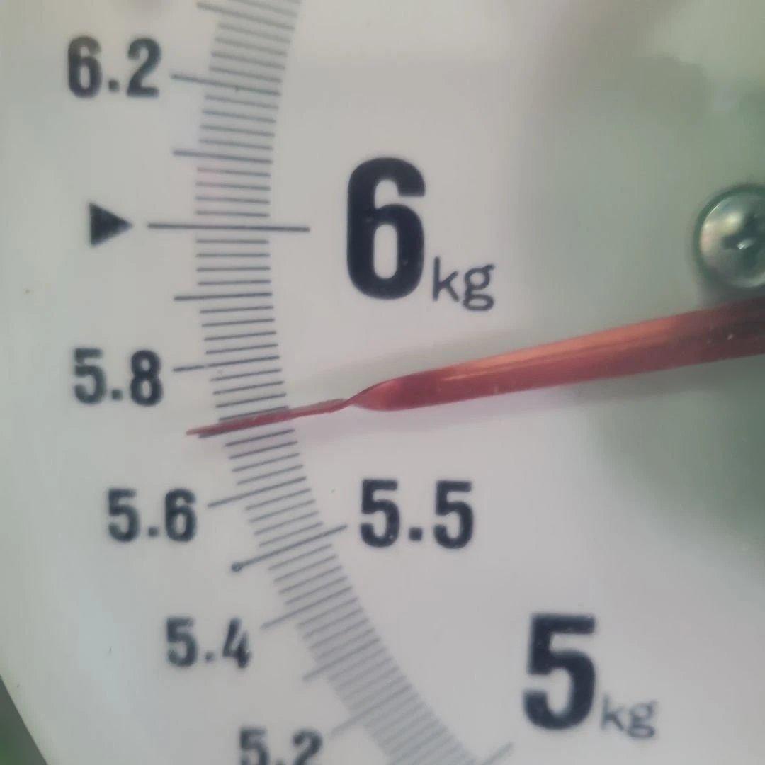 8️⃣ 山梨県産 シャインマスカット １１房入り 箱込み5.7キロ