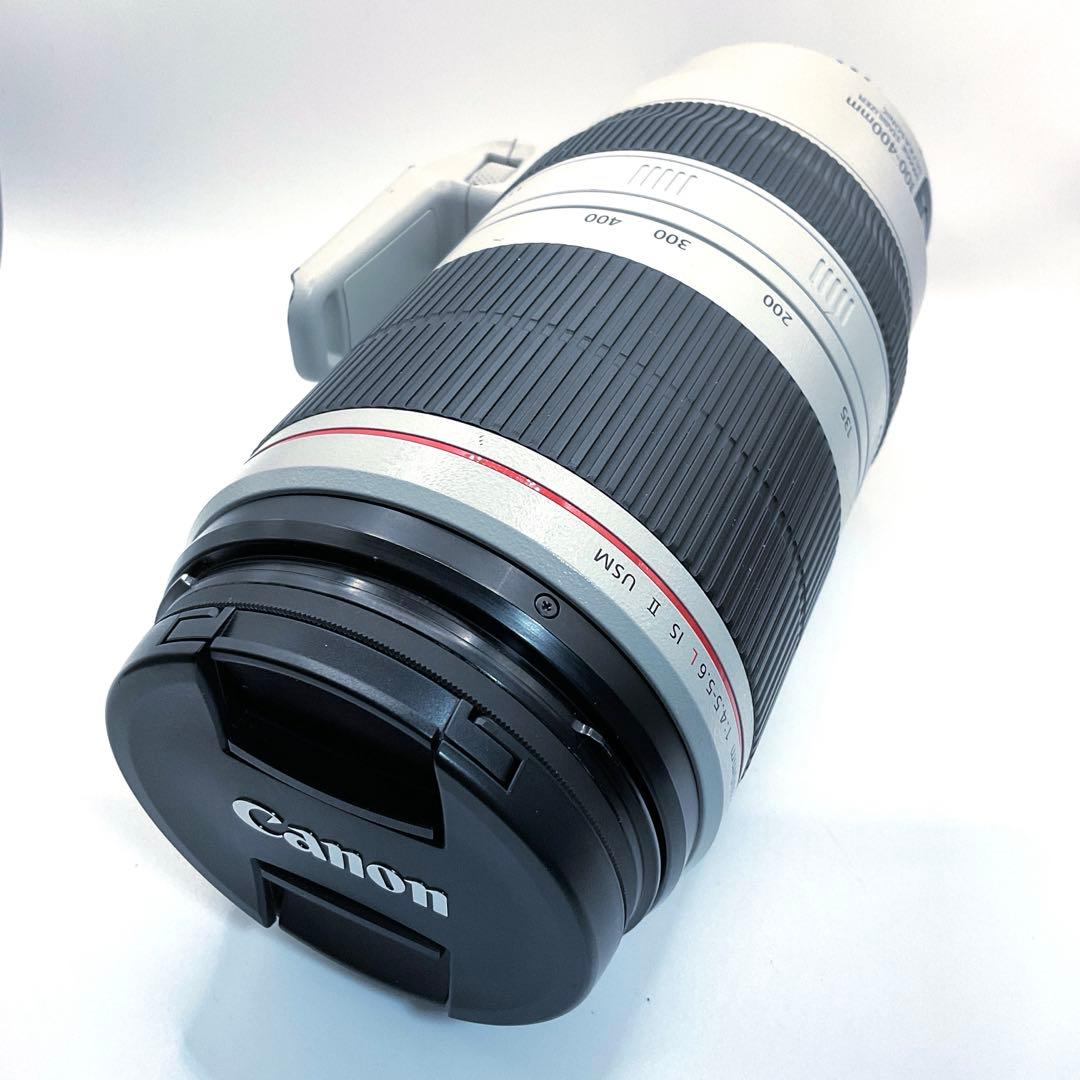 レンズ(ズーム) Canon EF100-400mm F4.5-5.6L IS II USM 02