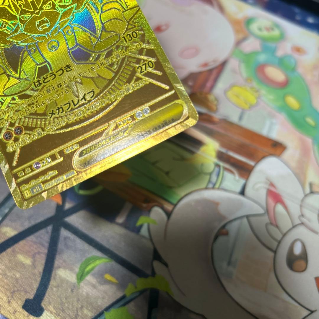 メガルカリオex mur