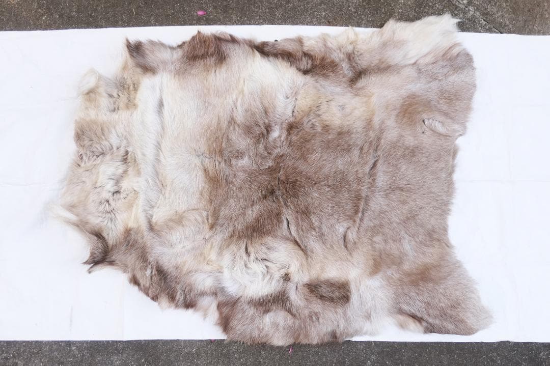 トナカイ　B級品　毛皮　ラグ　敷物　キャンプ　ブッシュクラフト