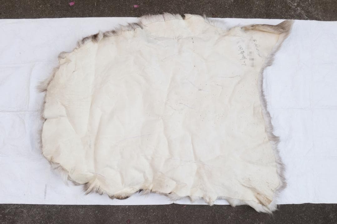 トナカイ　B級品　毛皮　ラグ　敷物　キャンプ　ブッシュクラフト