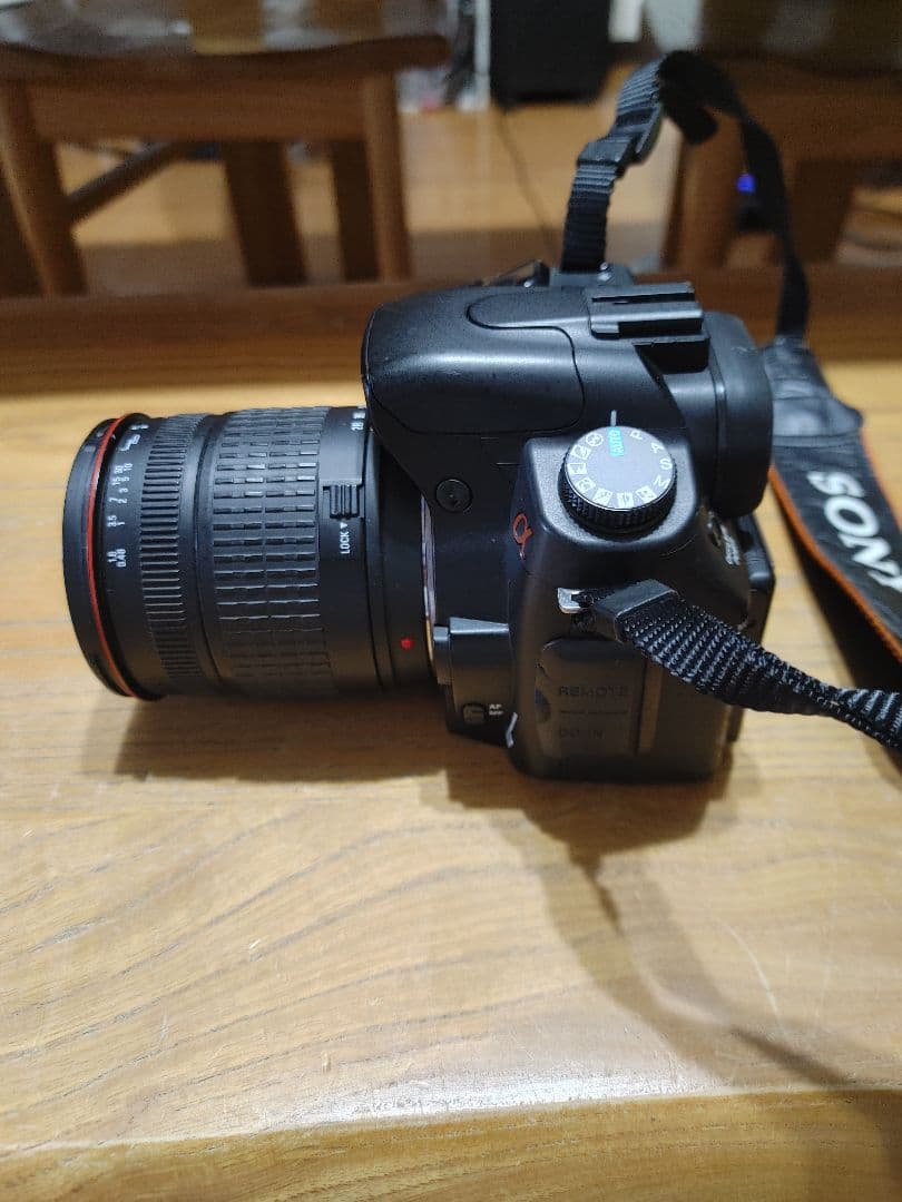 SONY α300 (DSLR-A300) + SIGMA 28-200mm