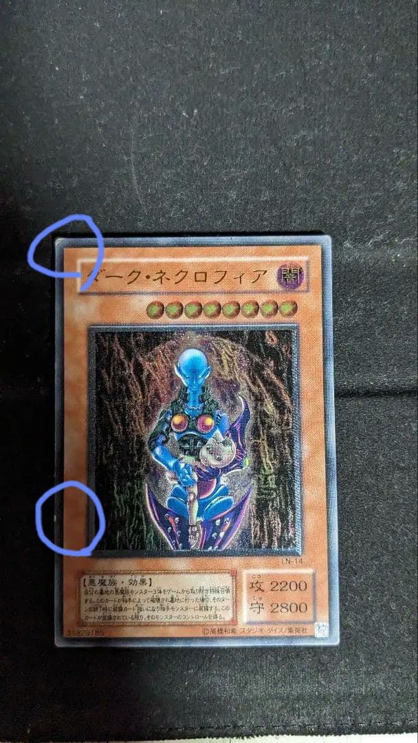 遊戯王　ダークネクロフィア　レリーフ