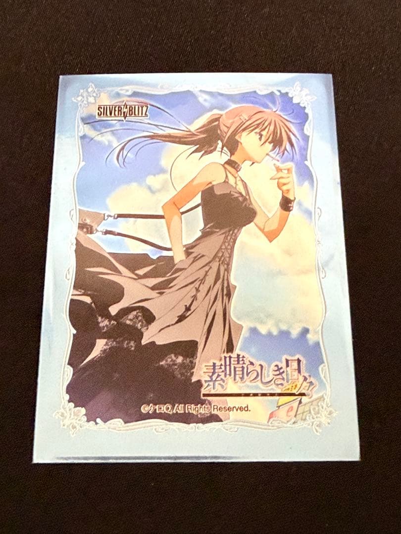 素晴らしき日々〜不連続存在〜　水上由岐 スリーブ 65枚入