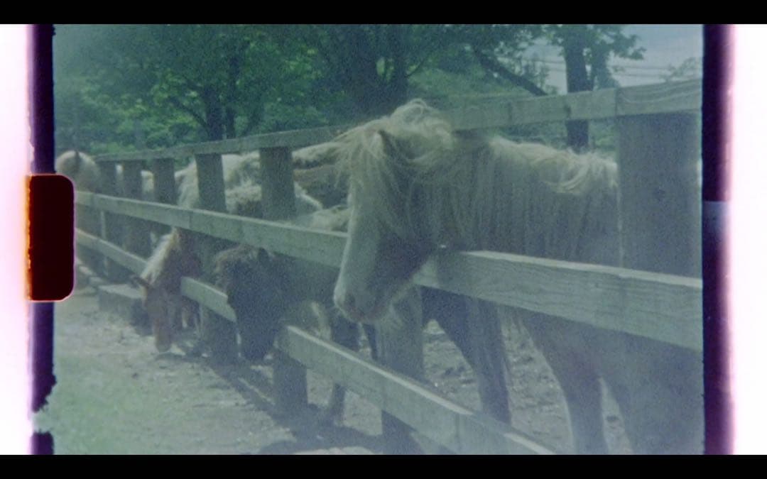 フィルムカメラ ELMO Super106