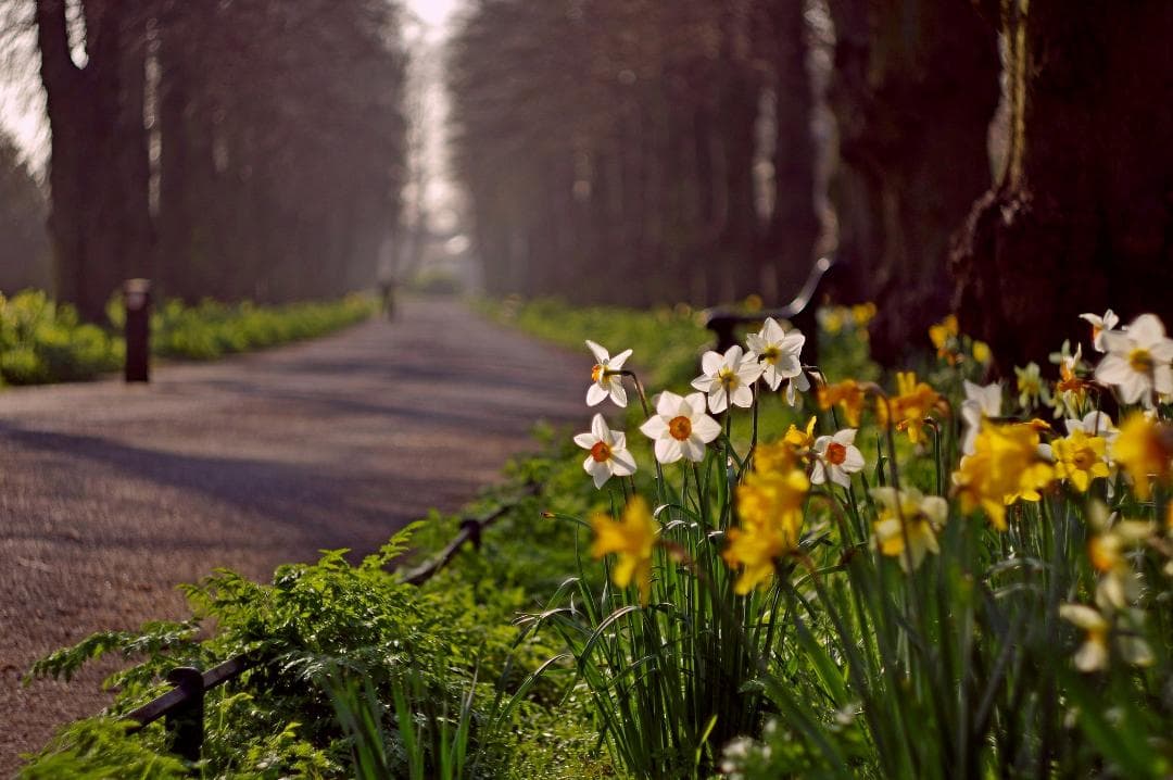 33【希少】13枚絞り　分解整備済み　Helios　ヘリオス44　アダプター付