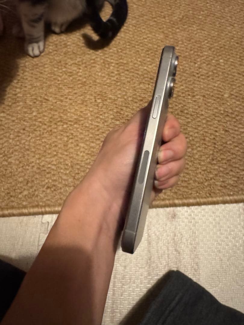 The Oil Man専用，海外版iphone 15 Pro Max 512GB