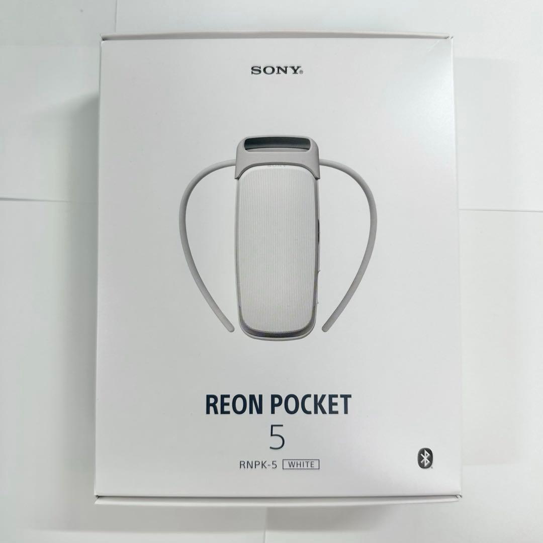 [SONY]REON POCKET 5(レオンポケット5)箱付き美品