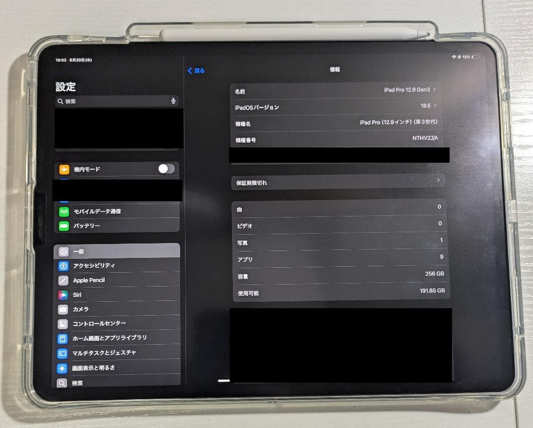 iPad Pro 12.9 第3世代 256GB セルラー Pencil 付き