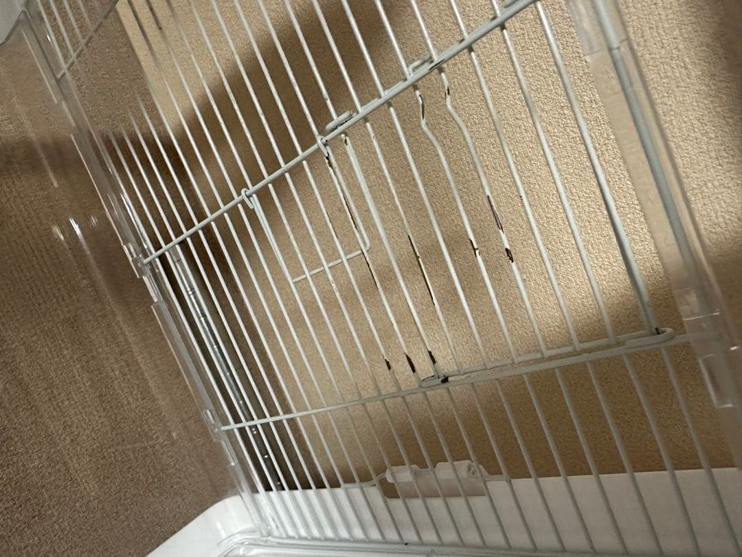 クリアバード35 3個