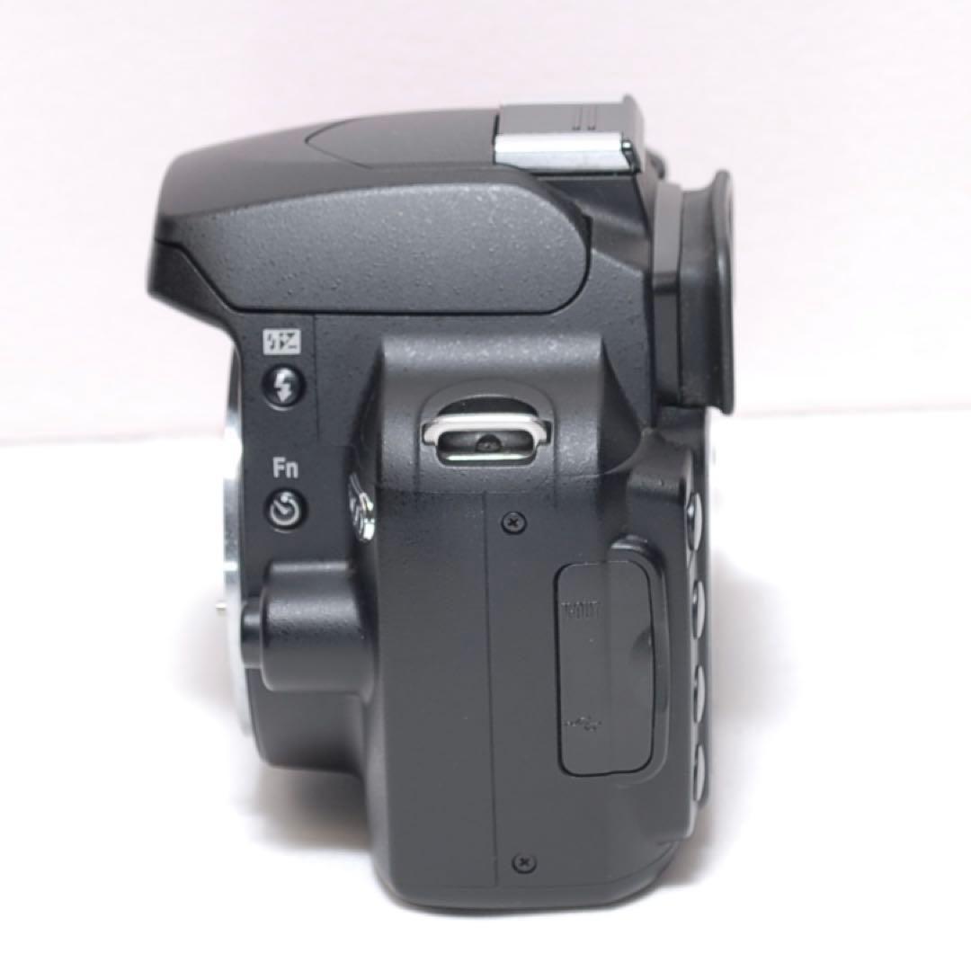 少シャッター数✨Nikon D60✨ ダブルレンズ✨スマホ転送✨スポーツ観戦に✨