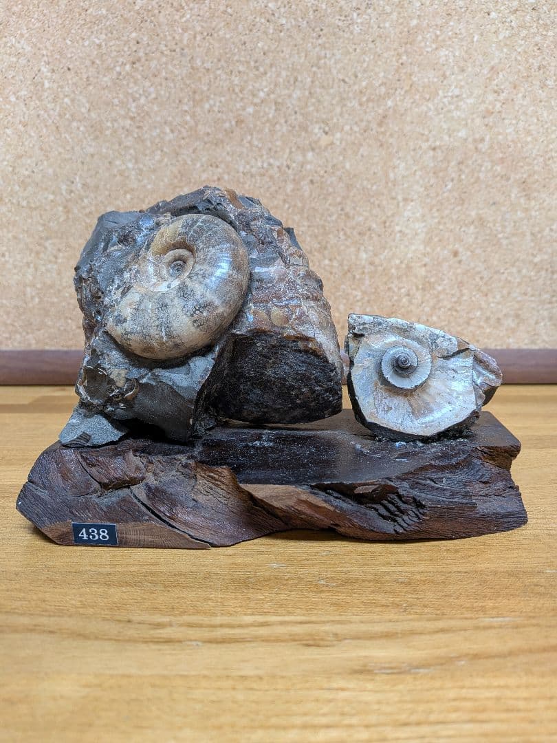 アーサーまとめ売り商品