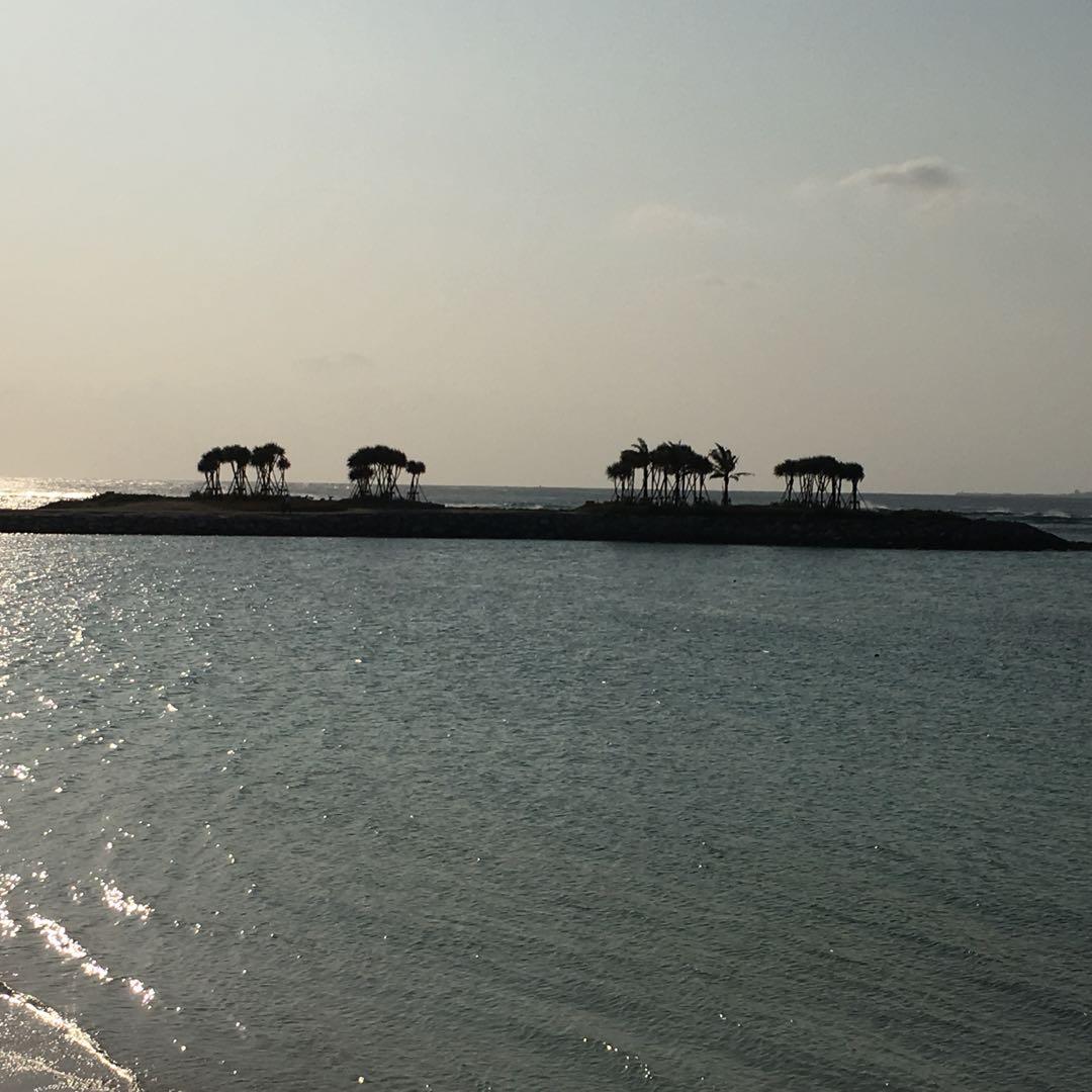 コロコロさん専用