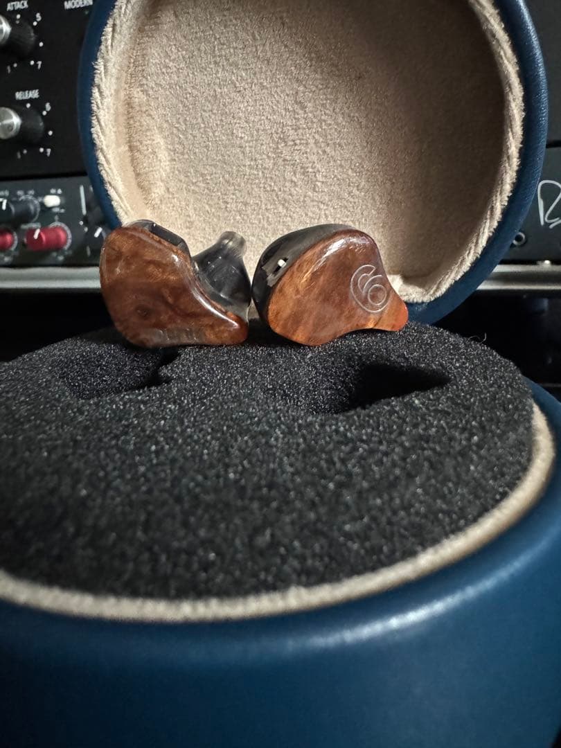 イヤホン DUNU sa6 mk2