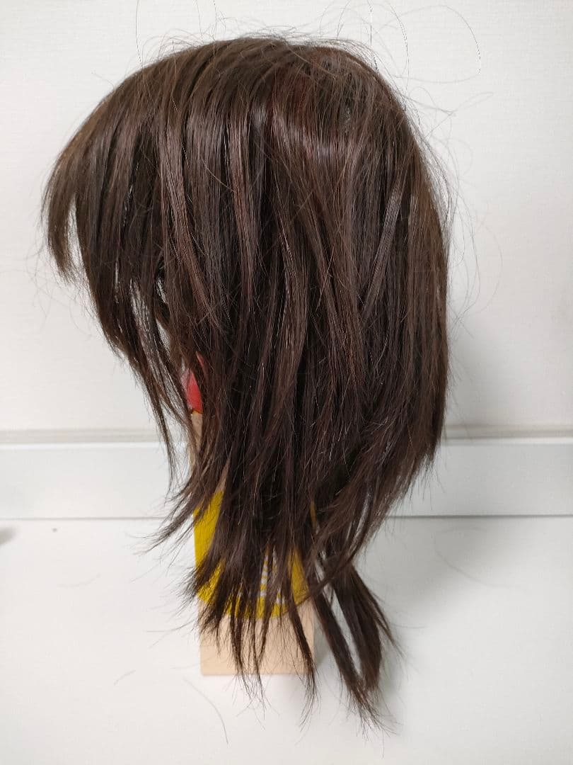 美品 ウルフヘア ウィッグ メッシュいり