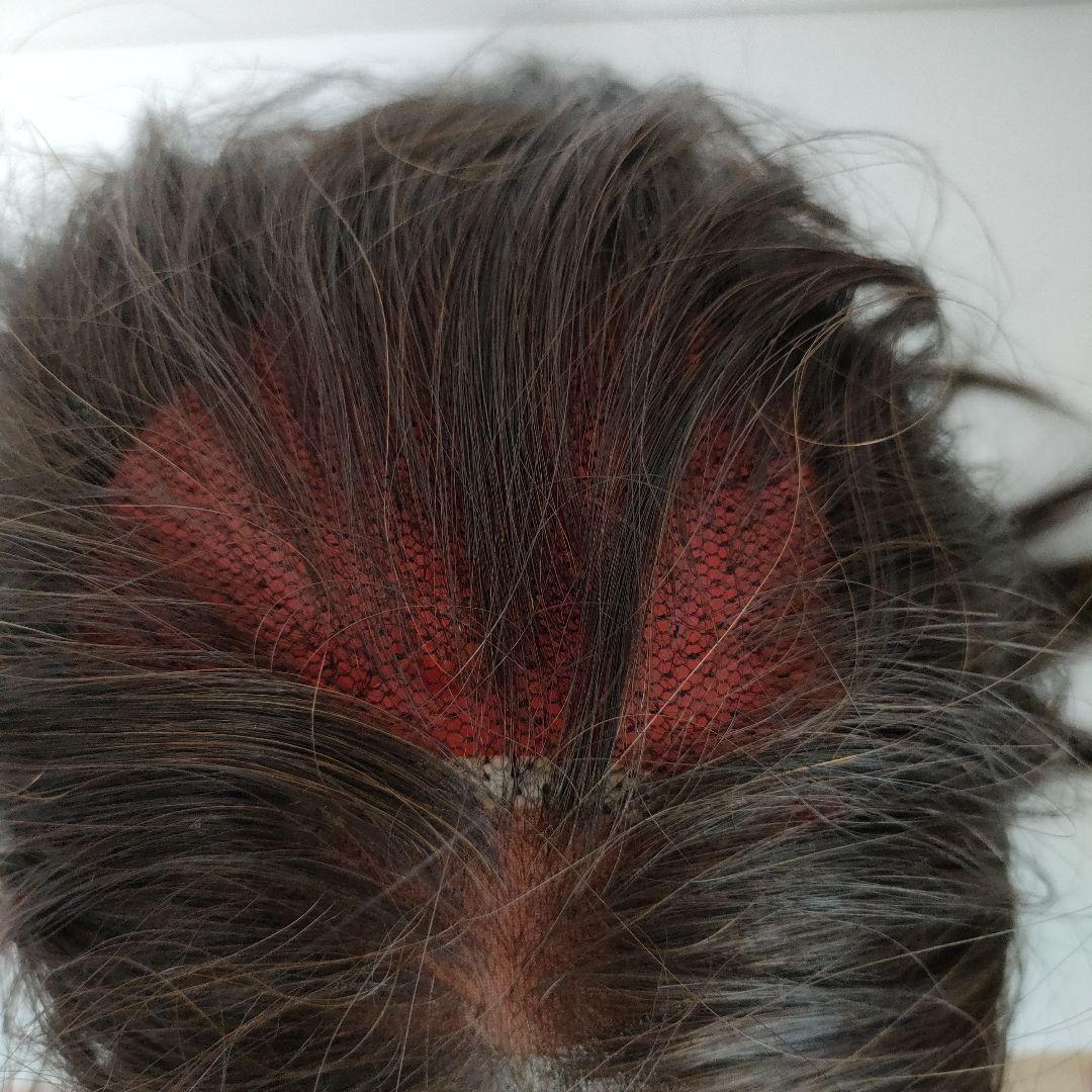 美品 ウルフヘア ウィッグ メッシュいり