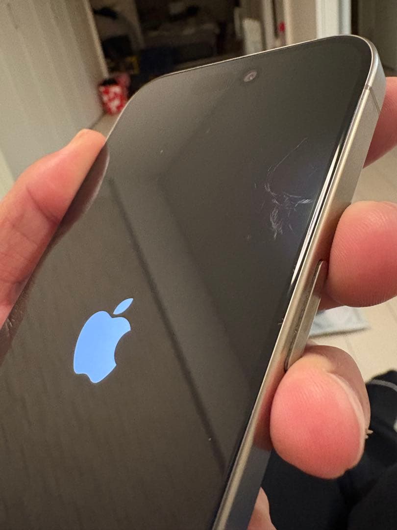 Apple iPhone 15 Pro シルバー 本体 付属品完備