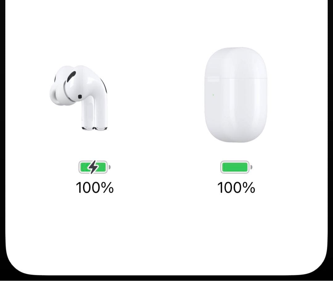 良品 AirPods Pro MWP22J/A ワイヤレス充電ケース付