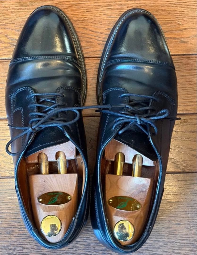 最終値下げ　Alden2161 US8