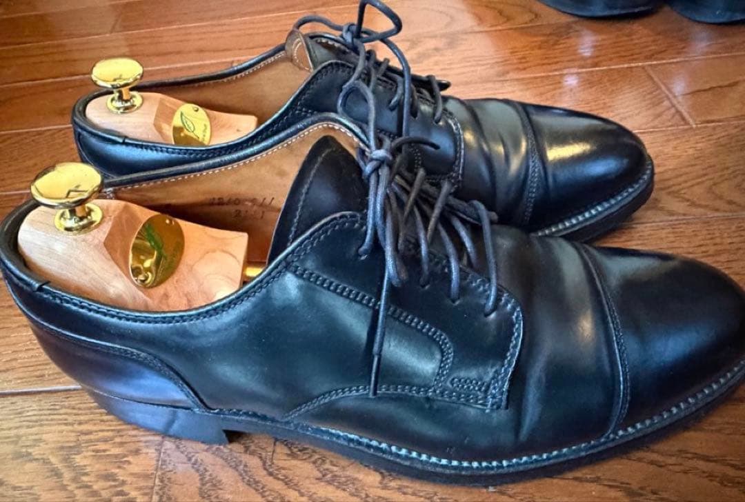 最終値下げ　Alden2161 US8