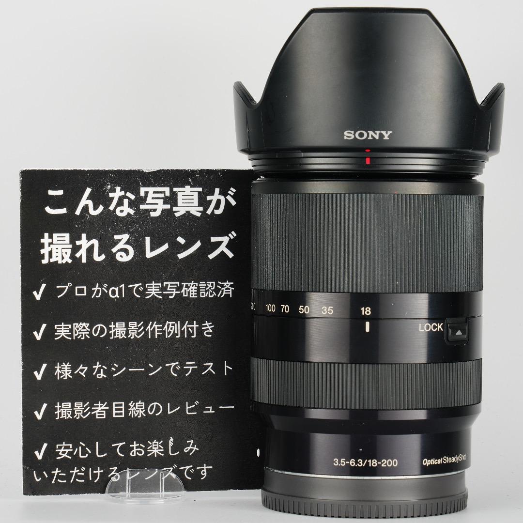 レンズ交換から解放される1本 SONY SEL18200LE 美品 719