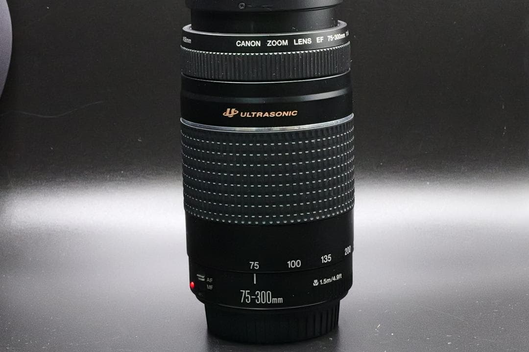 ちょれ～いPapa☆CANON ZOOM LENS EF 75-300