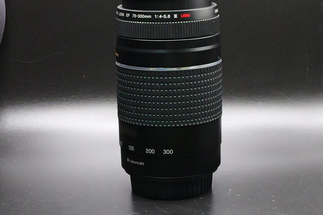 ちょれ～いPapa☆CANON ZOOM LENS EF 75-300