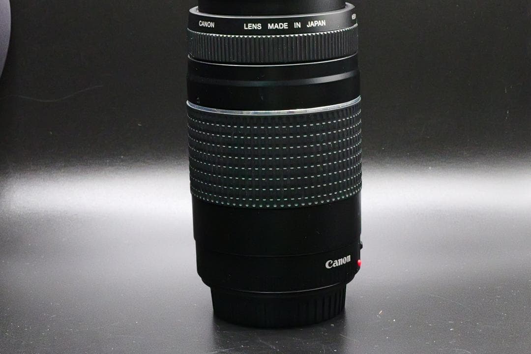 ちょれ～いPapa☆CANON ZOOM LENS EF 75-300