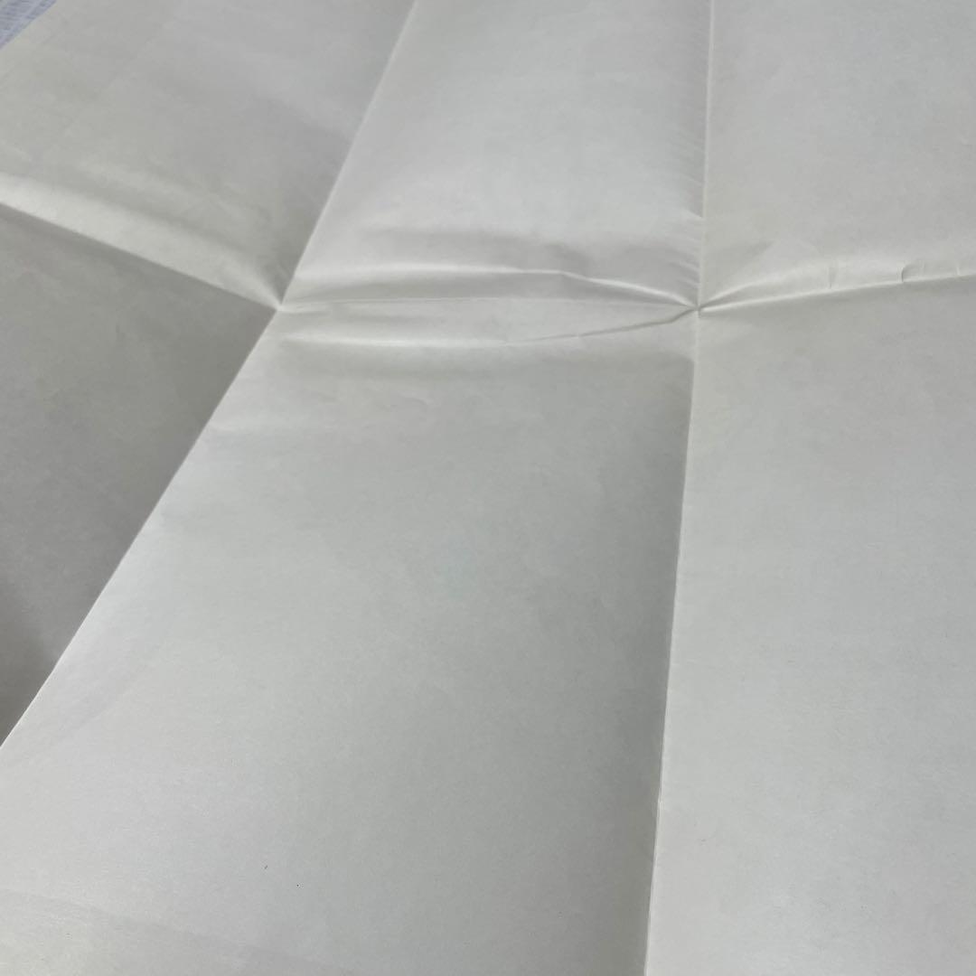 東京ディズニーランド スーベニアマップ 1987年