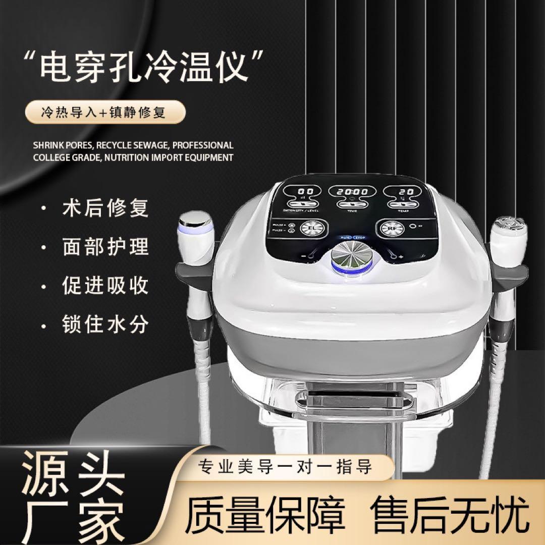 エレクトロポレーション RF美顔