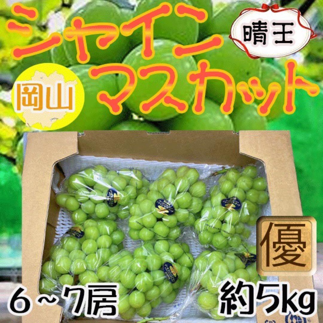 岡山県産　シャインマスカット　晴王　6〜7房　約5kg　優品　クール便発送