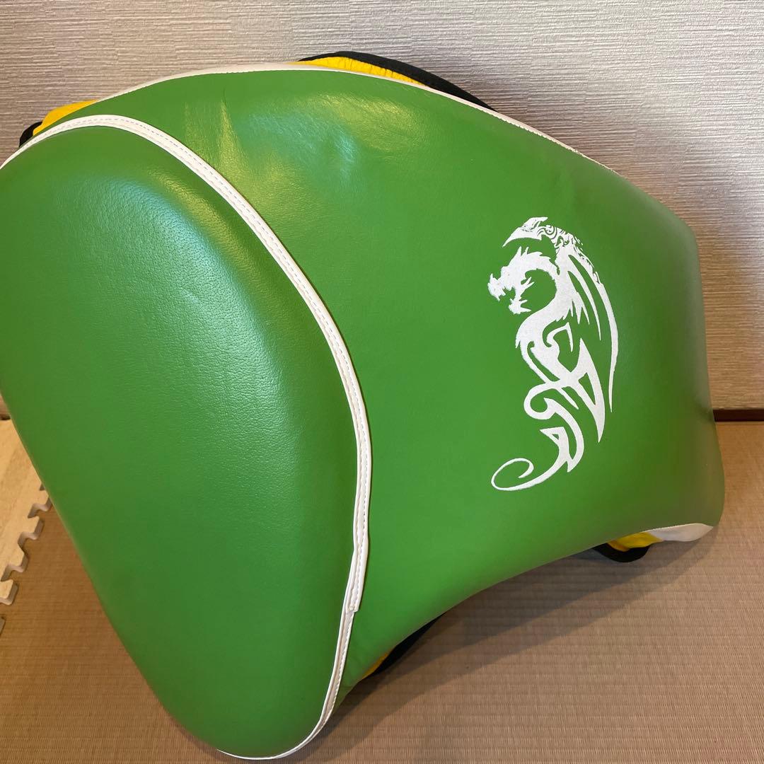 【ISAMI イサミ】NS-140 ローキックプロテクター ストロング