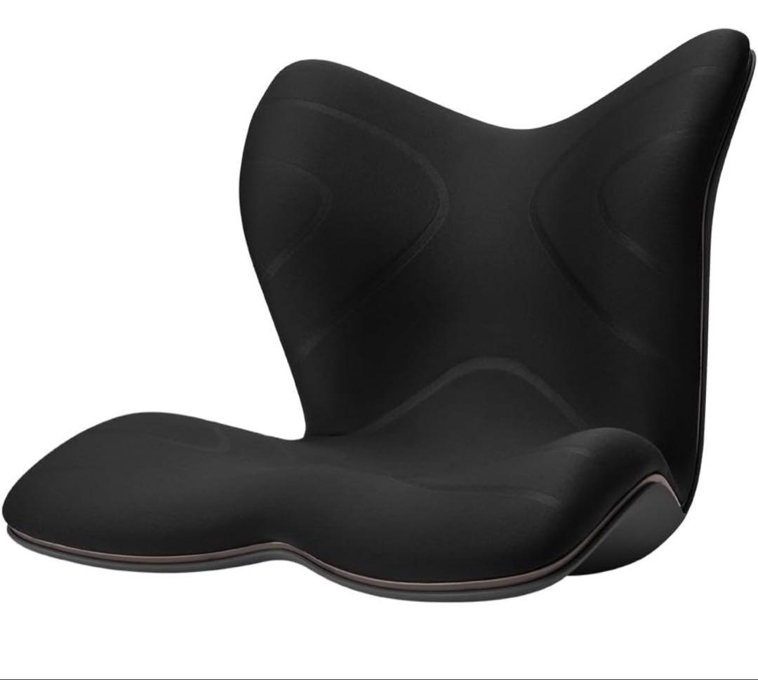 ★ スタイル プレミアム シリーズ★人間工学クッション ブラック