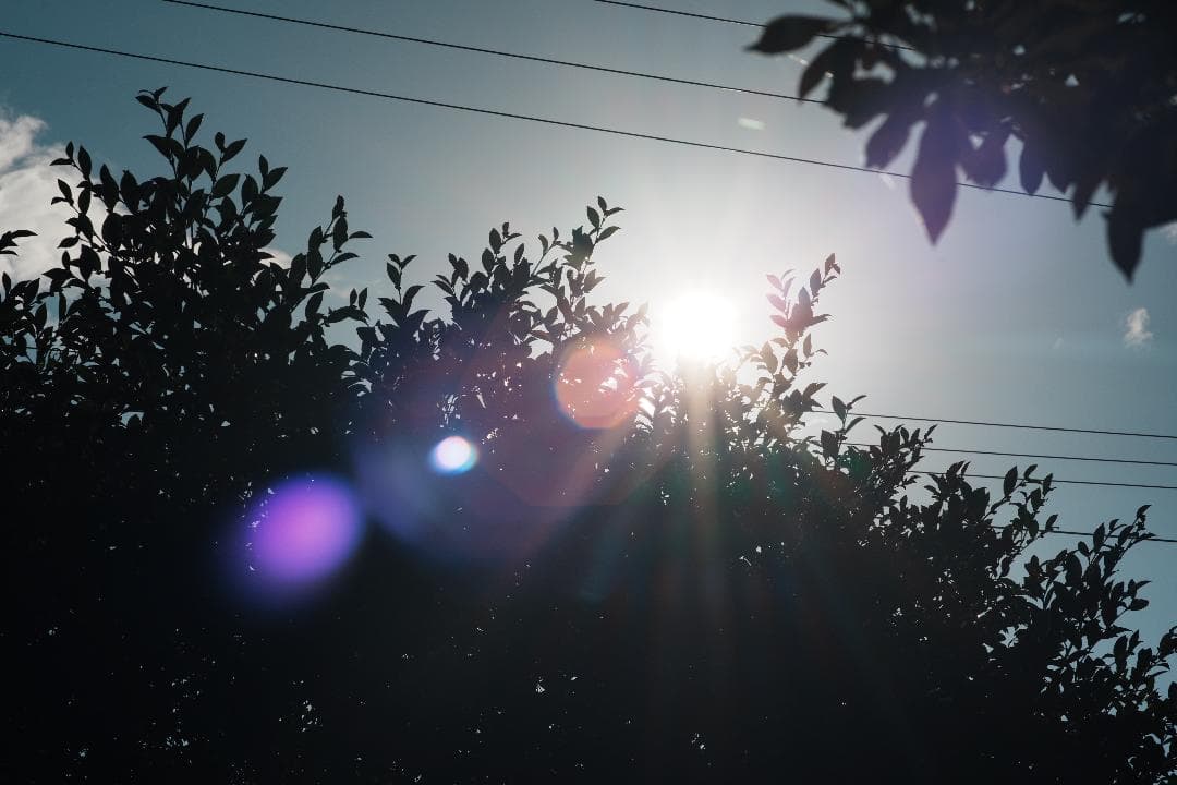 momo　アダプター付 Olympus Zuiko 90mm F2 649