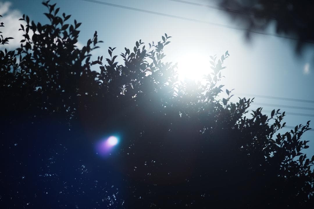 momo　アダプター付 Olympus Zuiko 90mm F2 649