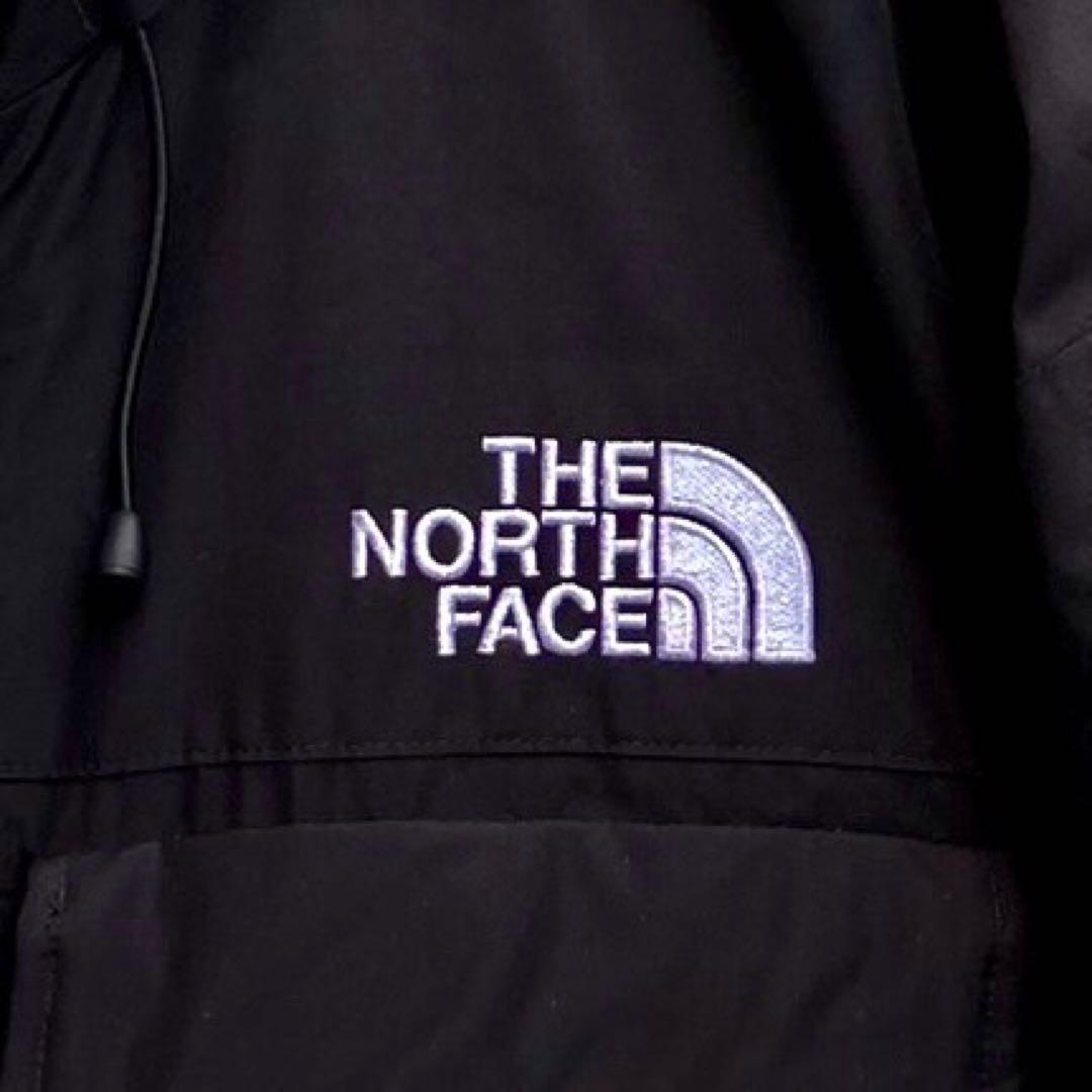 L ザ ノースフェイス ダウンジャケット POLAR AIR DOWN ダウン