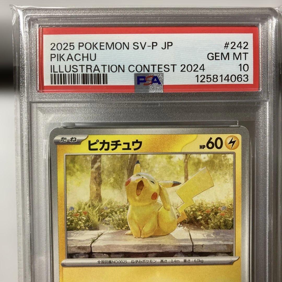 2025 ポケモン ピカチュウ #242 イラストコンテスト2024