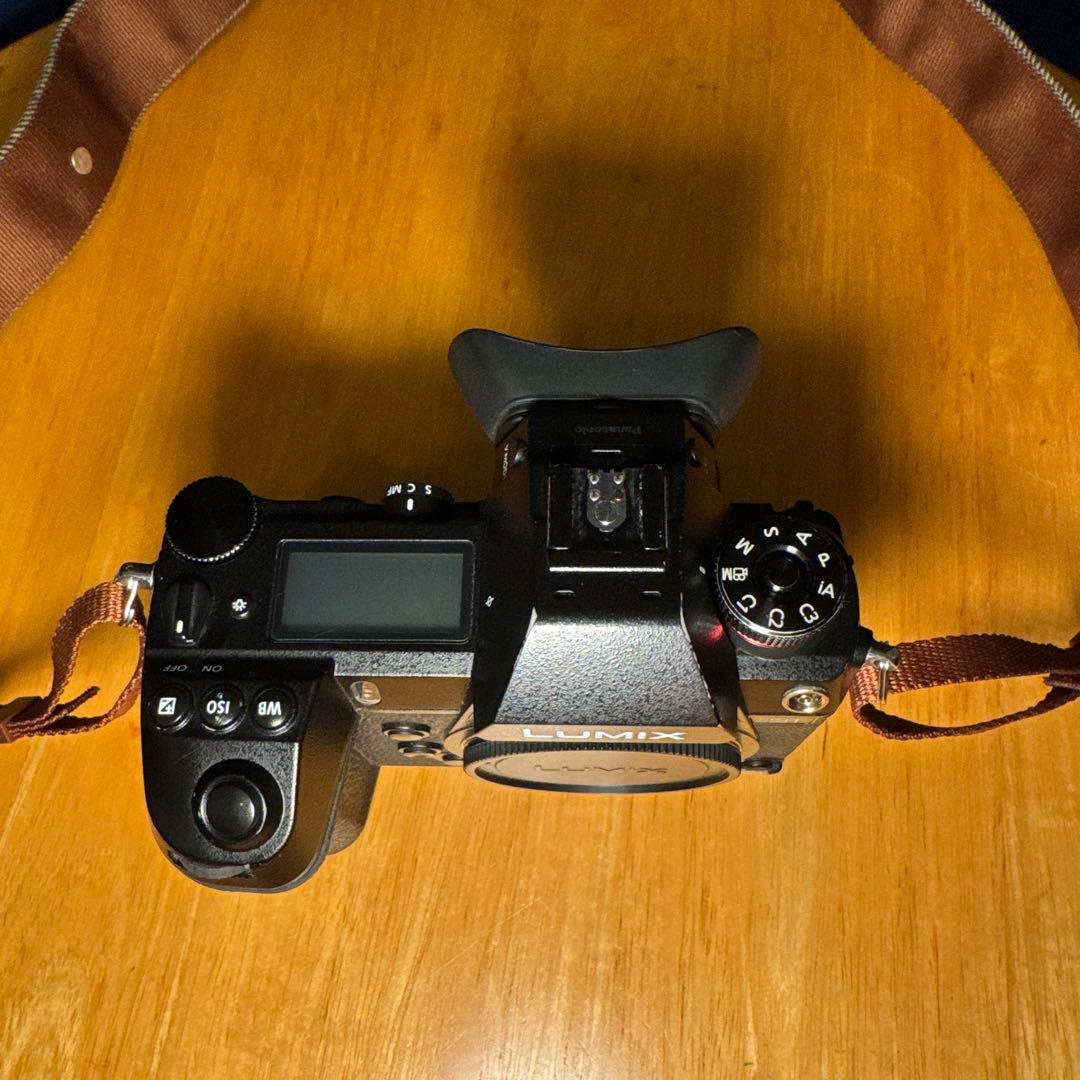 LUMIX s1 ルミックス　フルサイズ