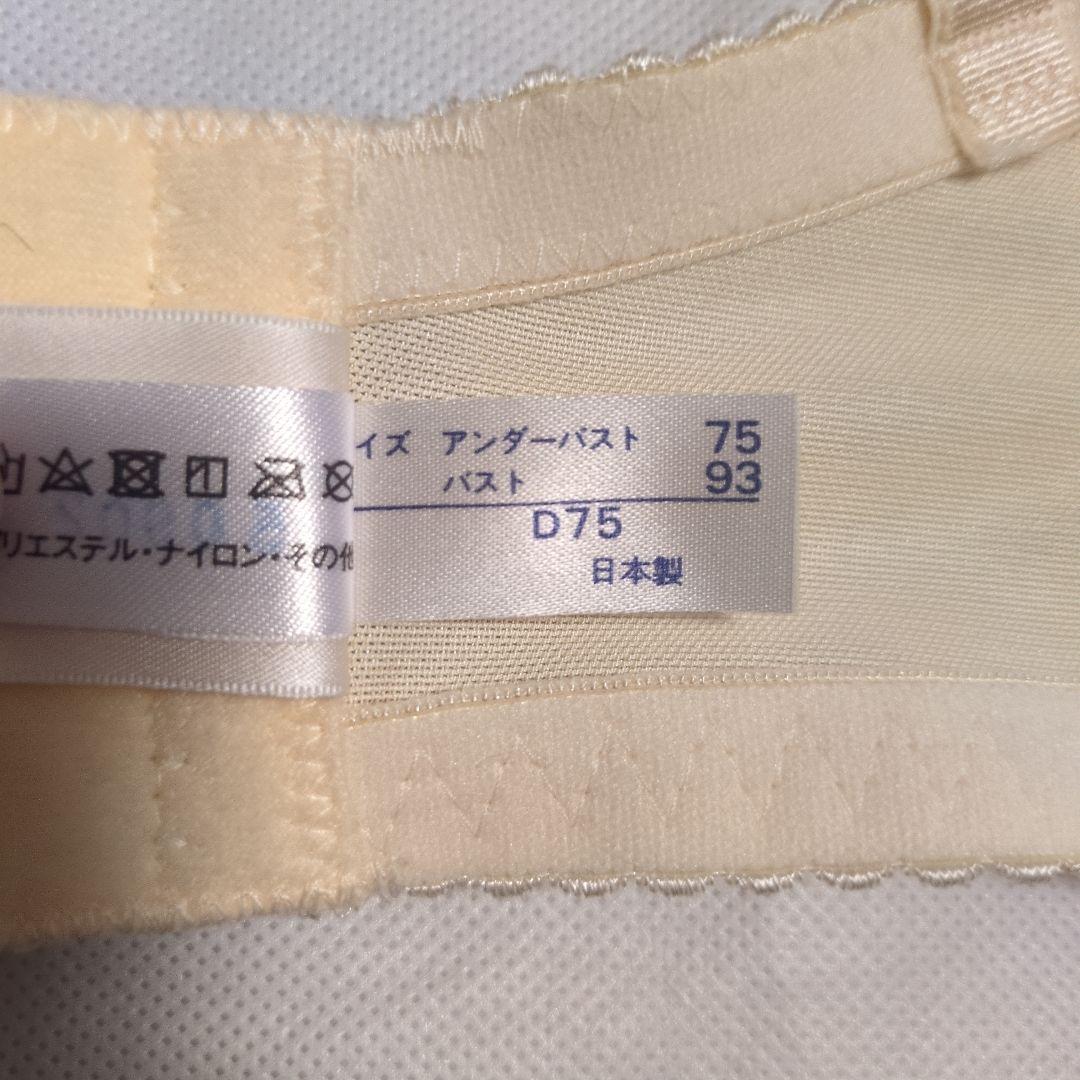 フォーシスアンドカンパニー ブライダルインナー サイズ76 D75