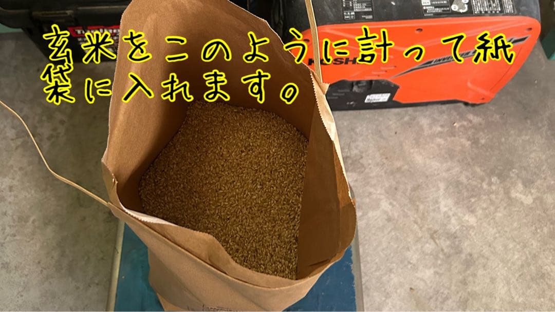 熊本県産 玄米 10kg森のくまさん！！