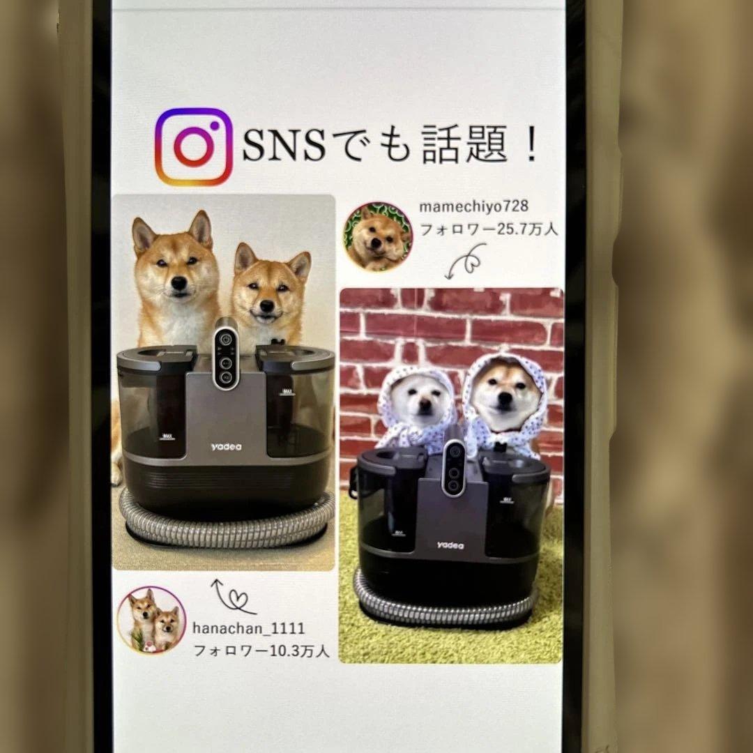 yadea R6 カーペット洗浄機 本体